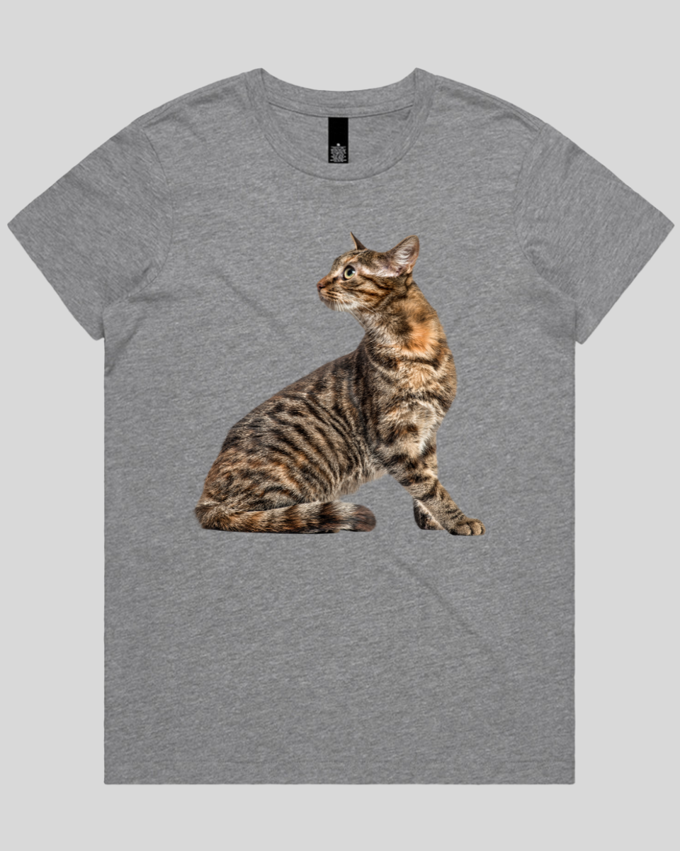 Perched Ready Cat Women's T-Shirt