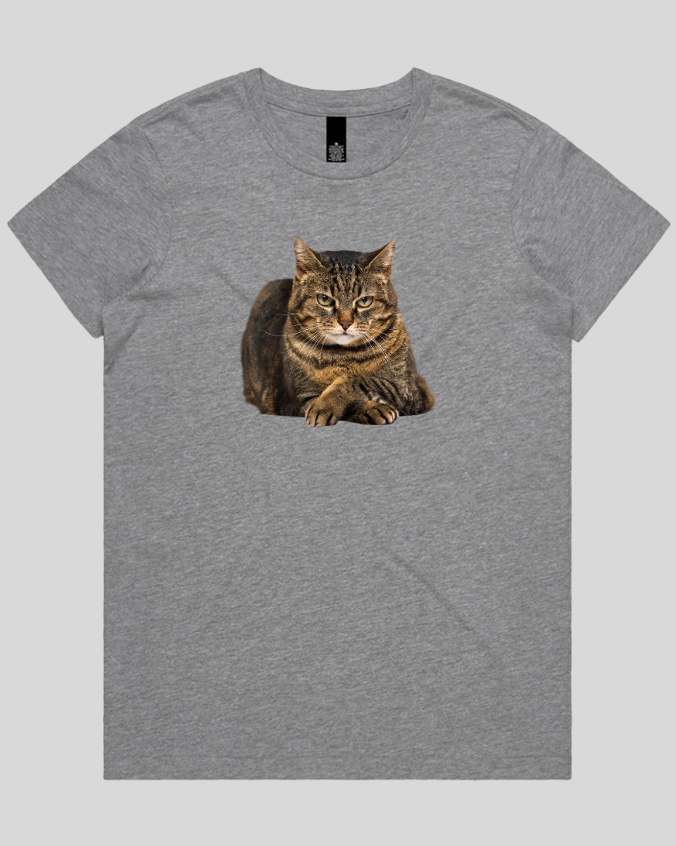 Confident Cat Women's T-Shirt