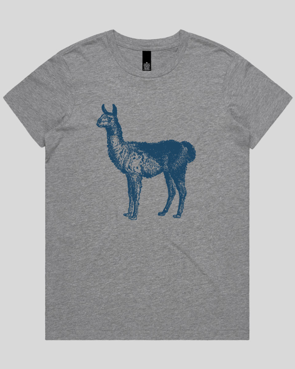 Llama Women's T-Shirt