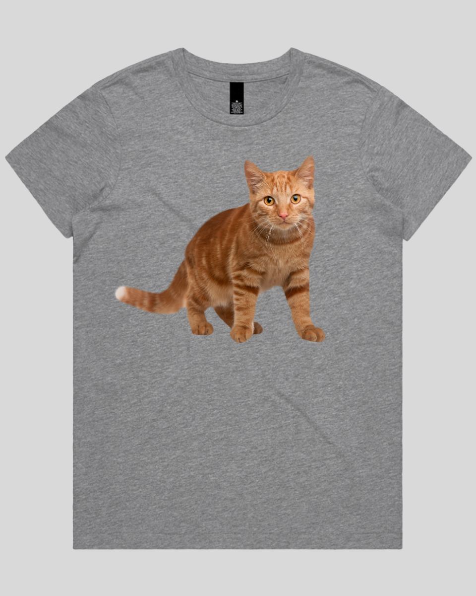 Staring Cat Women's T-Shirt