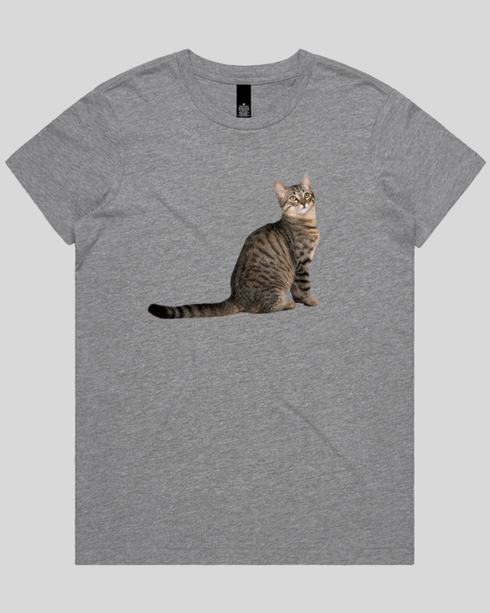 Curious Cat Women's T-Shirt