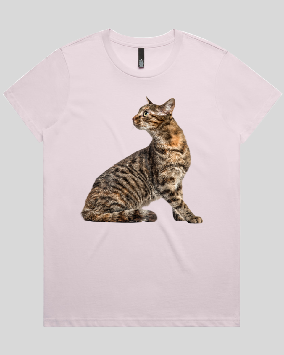 Perched Ready Cat Women's T-Shirt