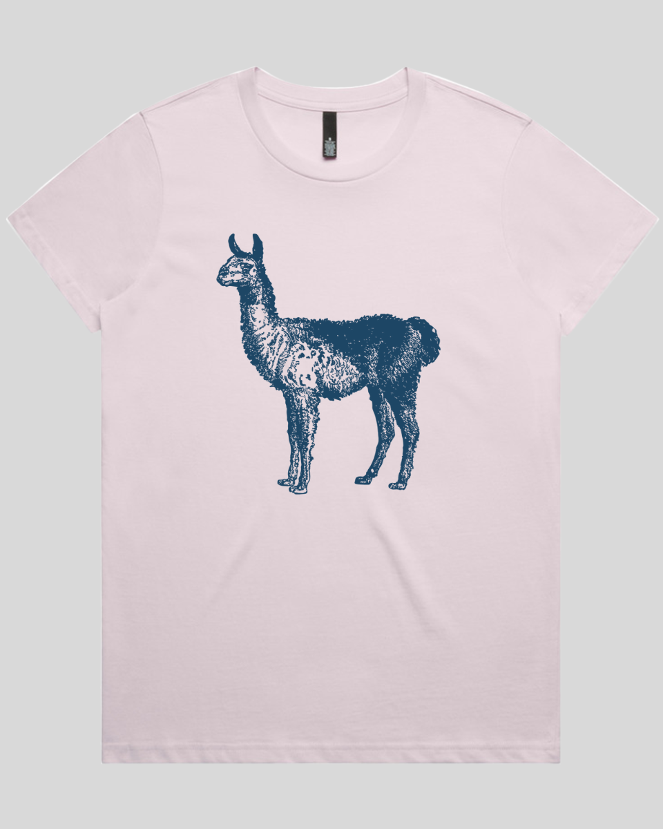 Llama Women's T-Shirt