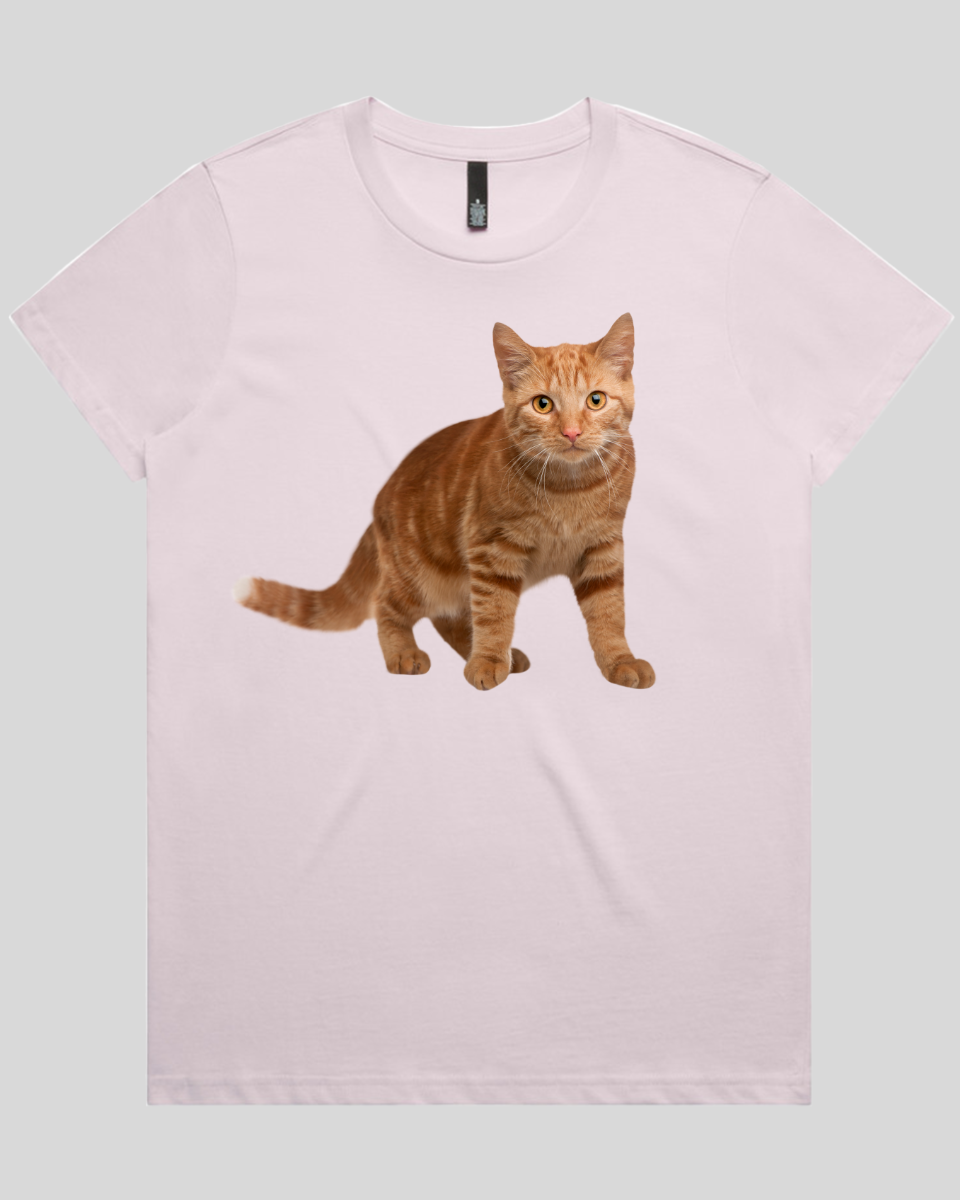 Staring Cat Women's T-Shirt