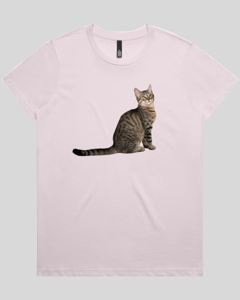 Curious Cat Women's T-Shirt