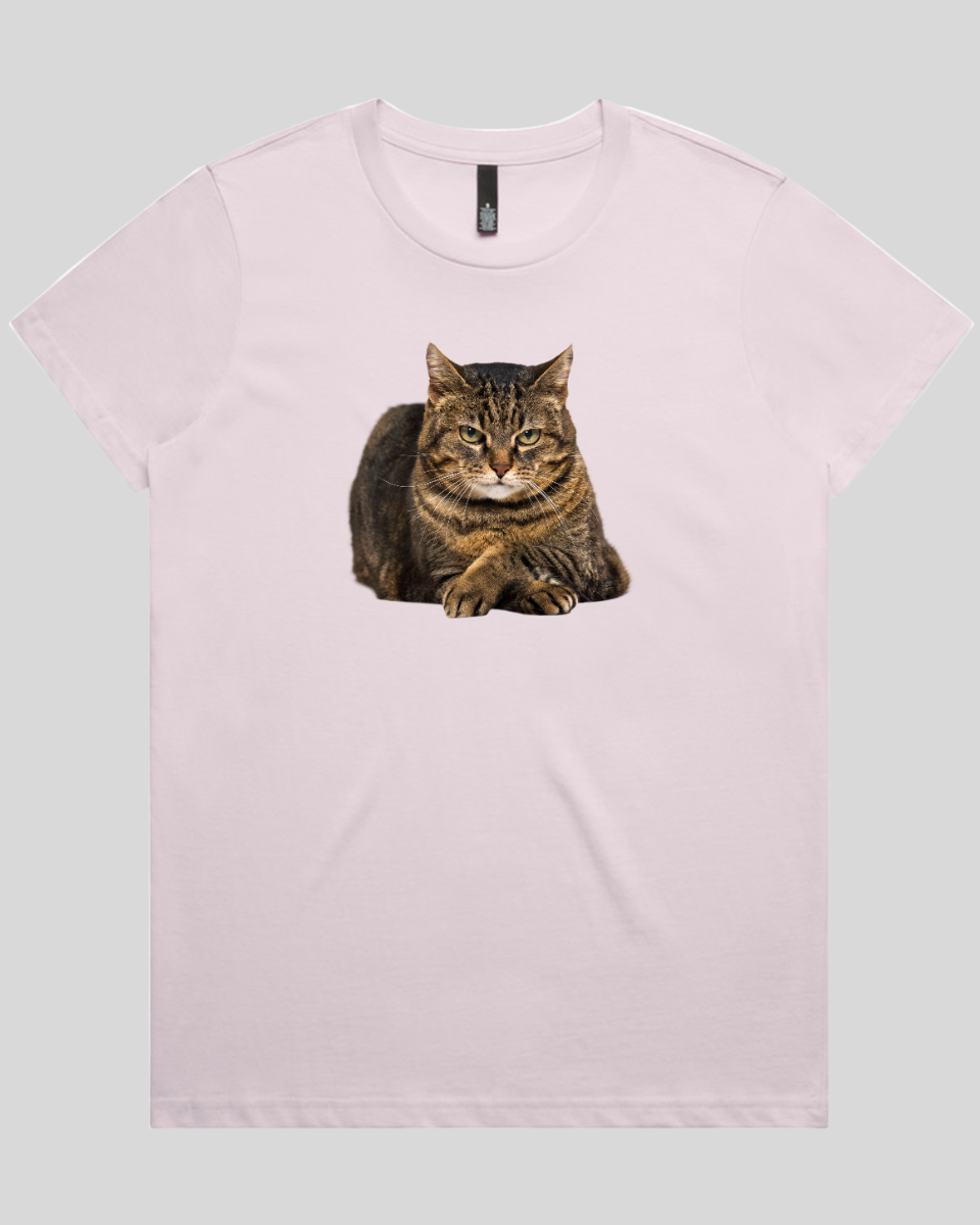 Confident Cat Women's T-Shirt