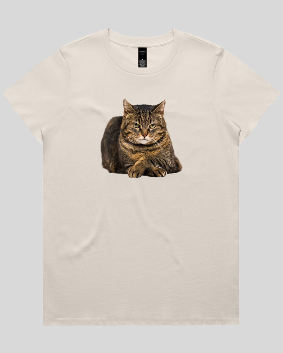 Confident Cat Women's T-Shirt