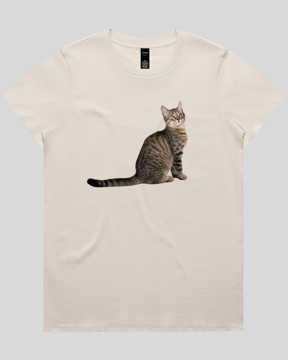 Curious Cat Women's T-Shirt