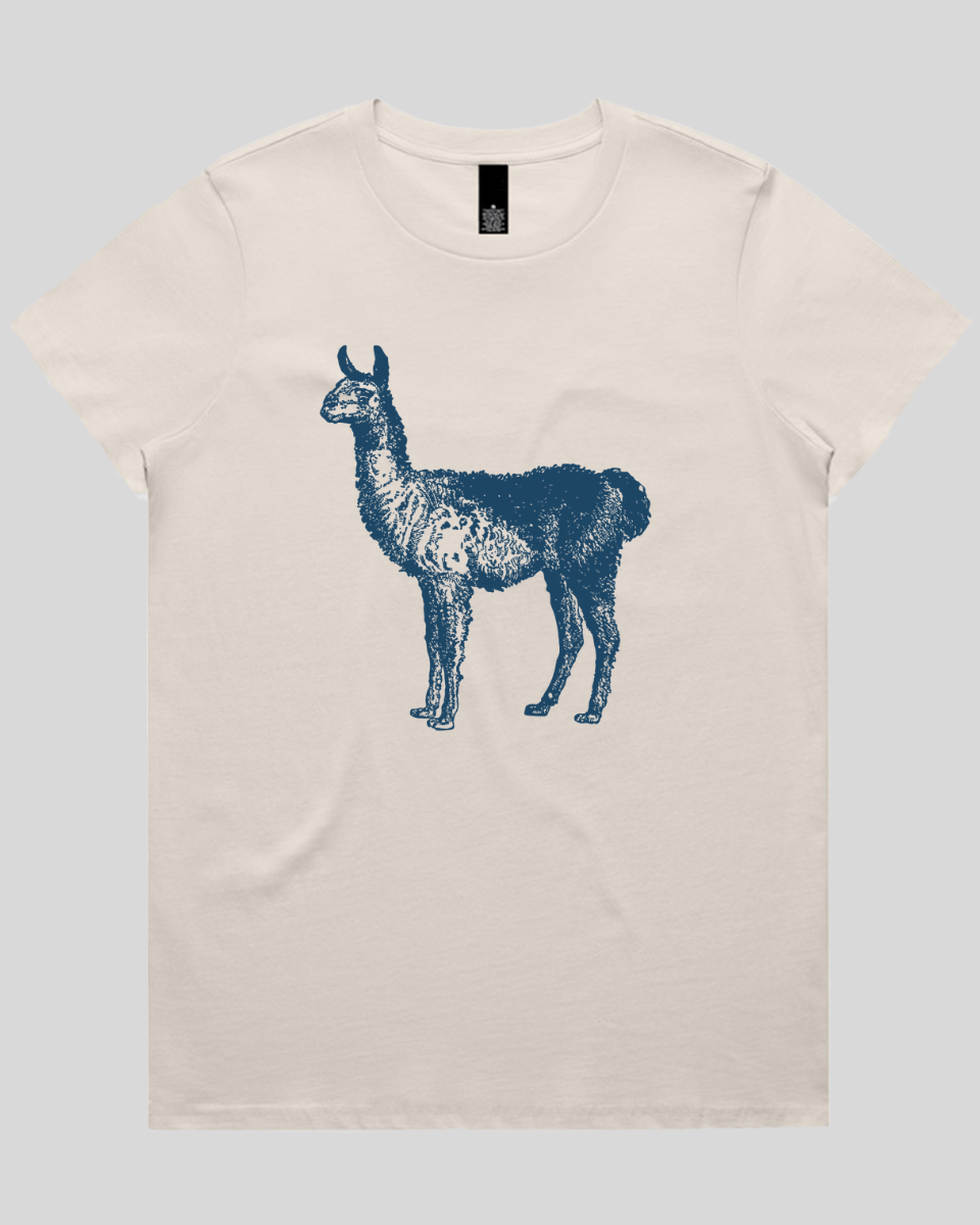 Llama Women's T-Shirt