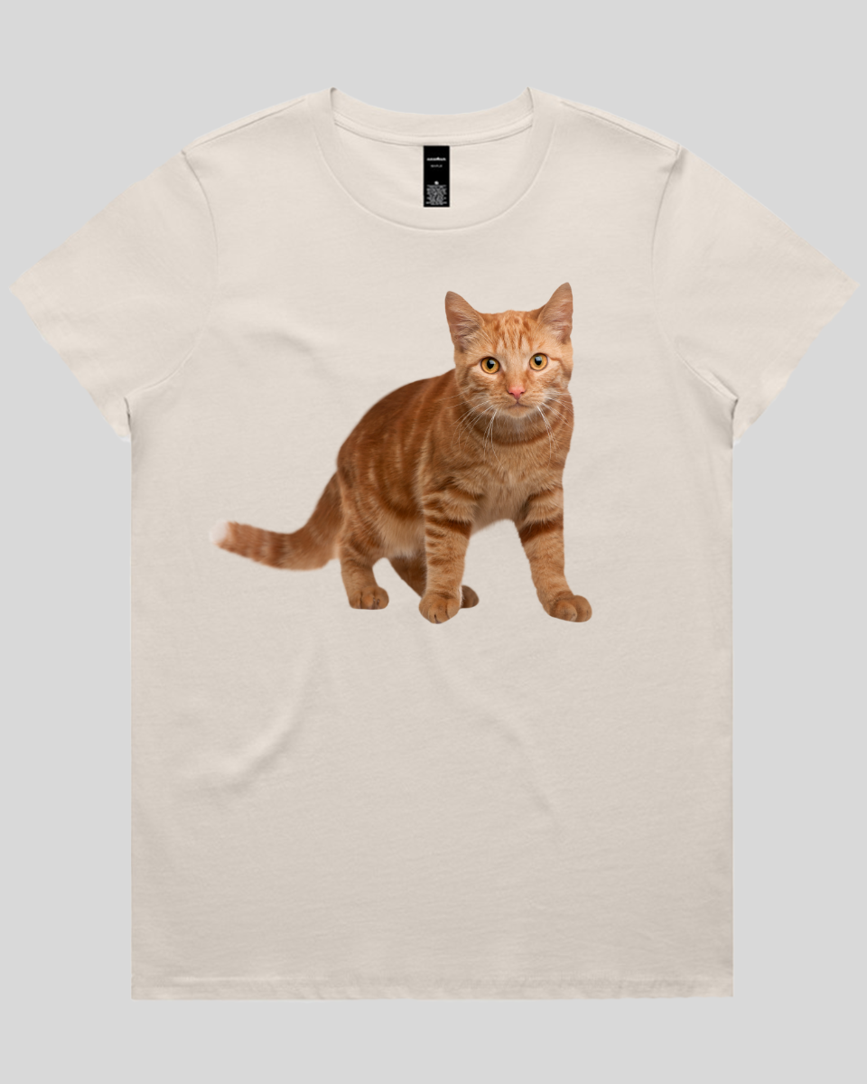 Staring Cat Women's T-Shirt