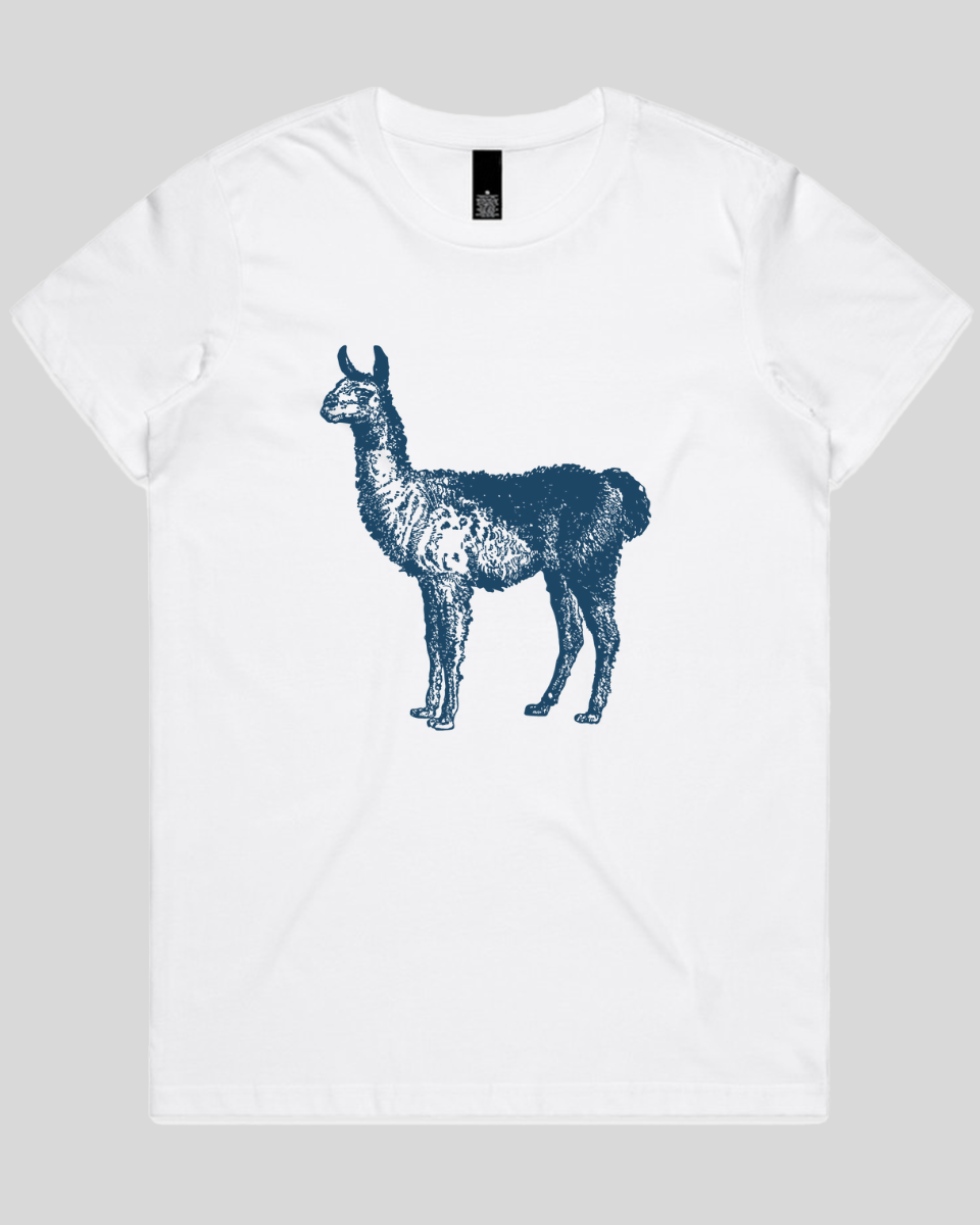 Llama Women's T-Shirt