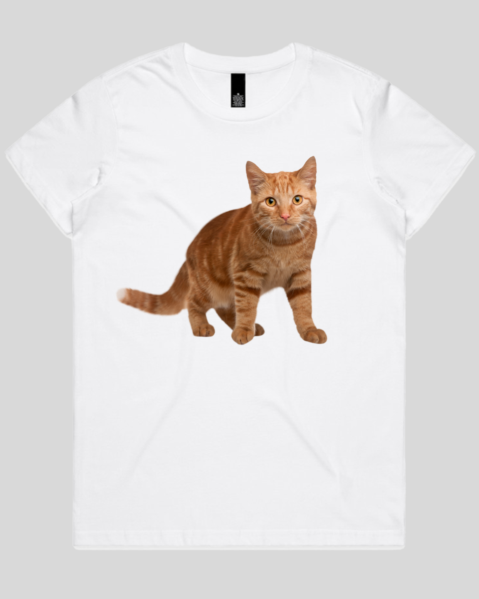 Staring Cat Women's T-Shirt