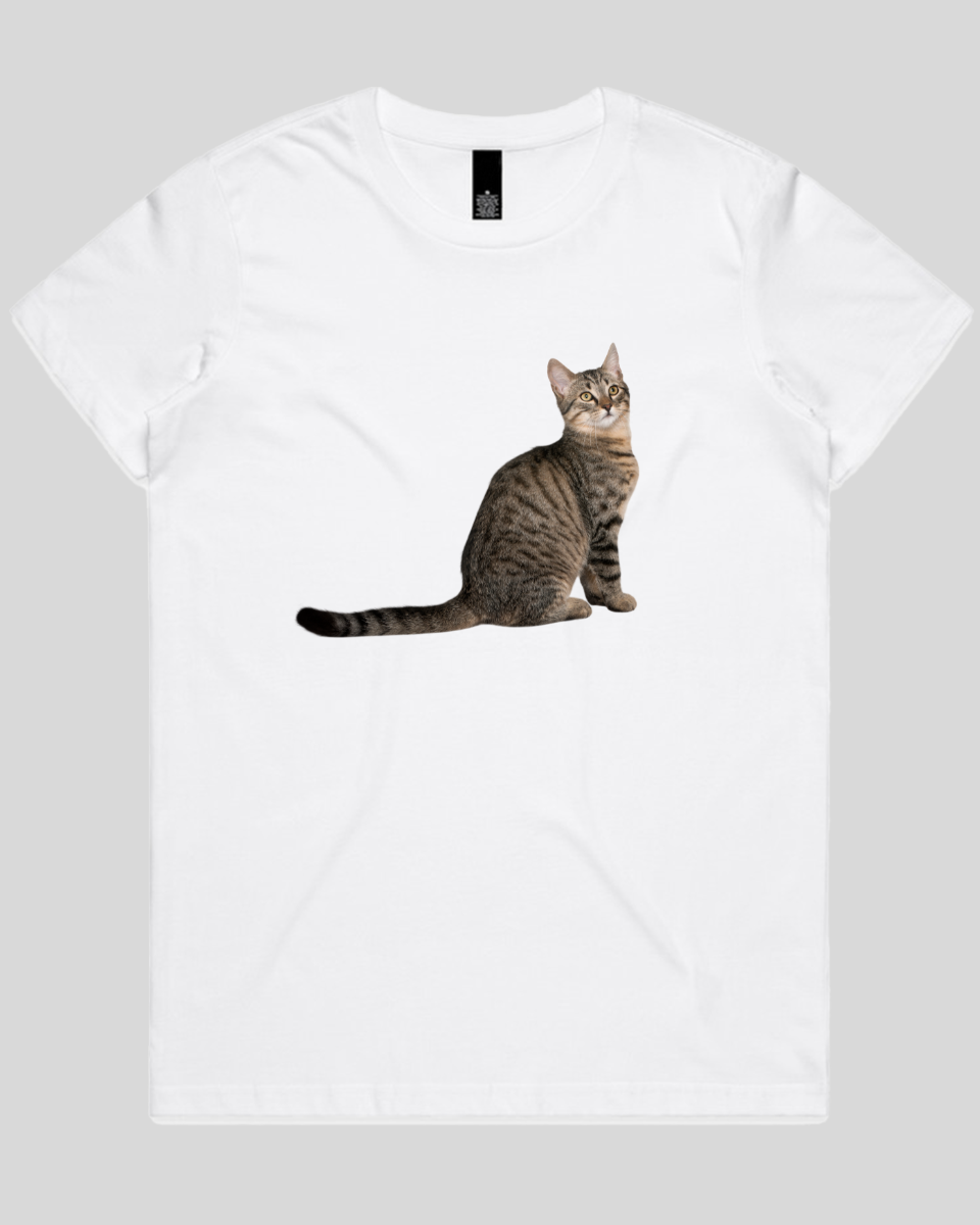 Curious Cat Women's T-Shirt