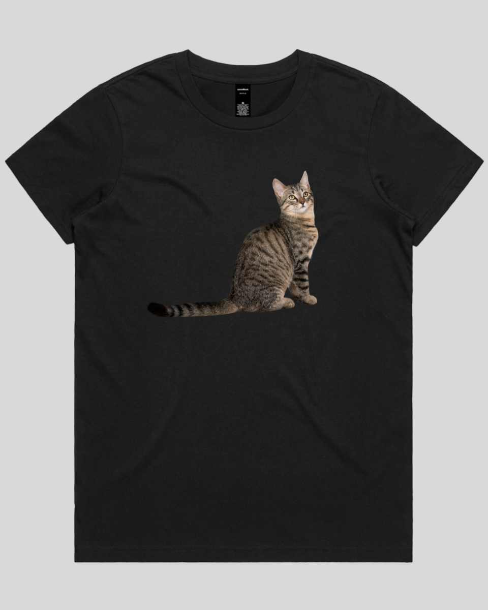 Curious Cat Women's T-Shirt