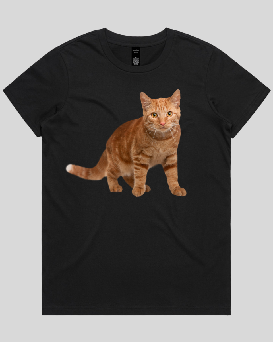 Staring Cat Women's T-Shirt