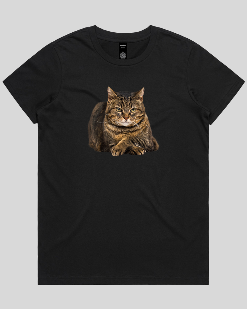 Confident Cat Women's T-Shirt