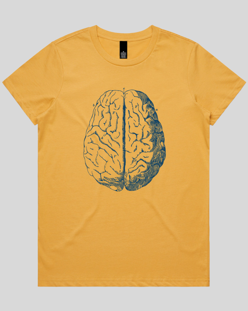 Vintage Brain Diagram Women's T-Shirt