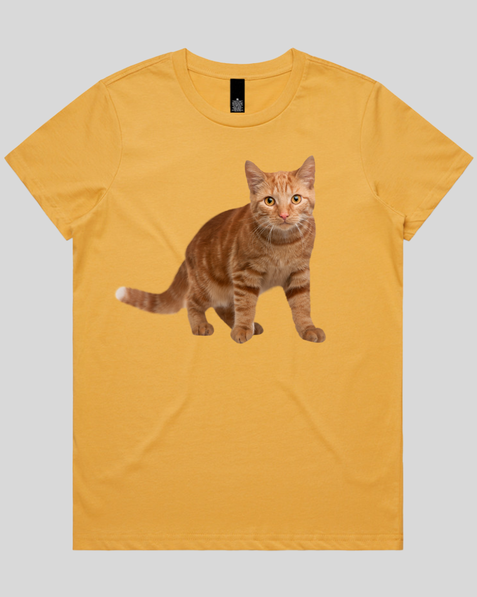 Staring Cat Women's T-Shirt
