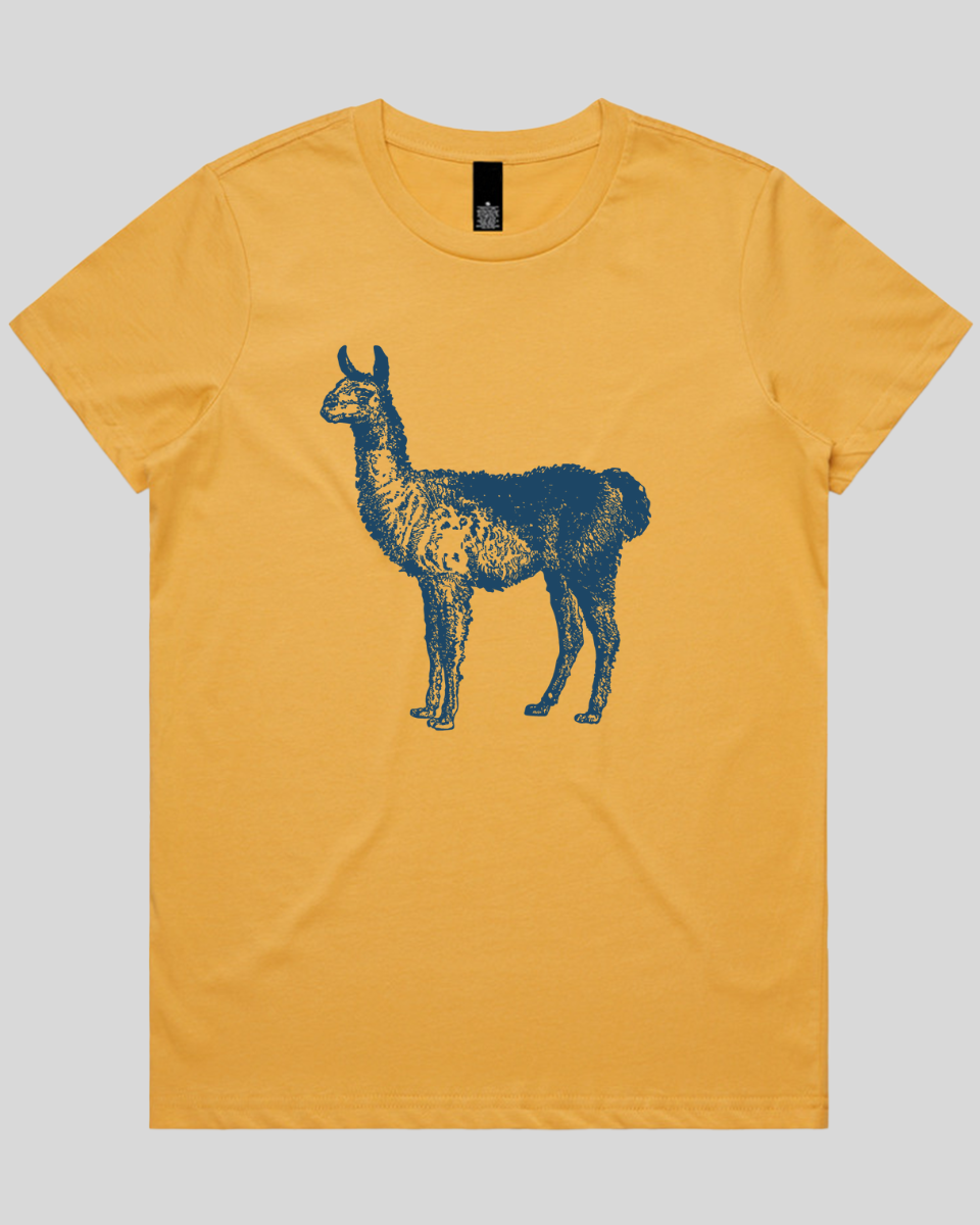 Llama Women's T-Shirt