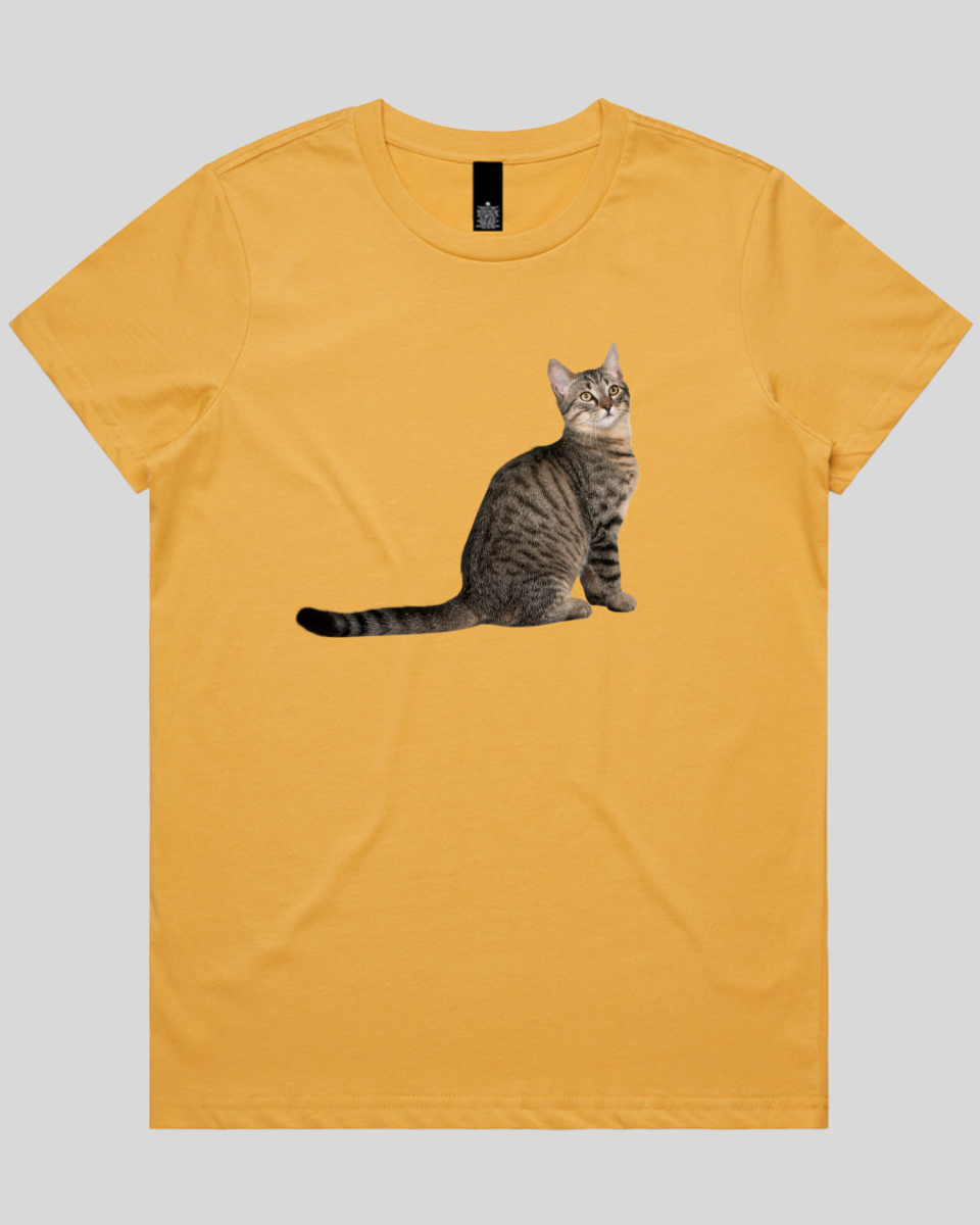 Curious Cat Women's T-Shirt