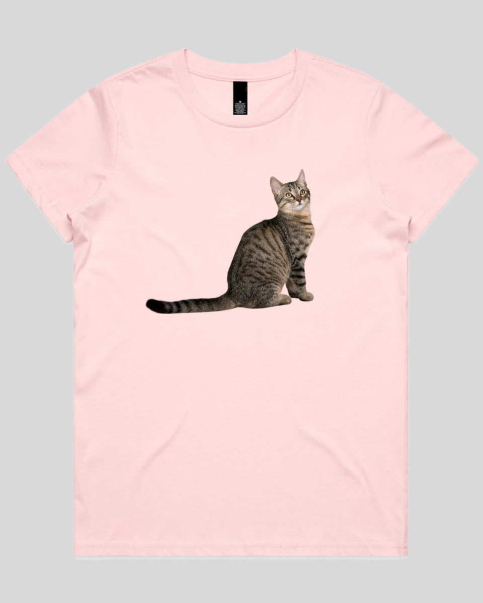 Curious Cat Women's T-Shirt