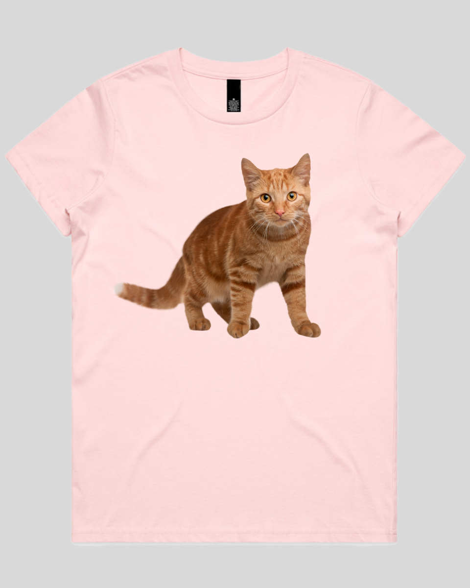 Staring Cat Women's T-Shirt