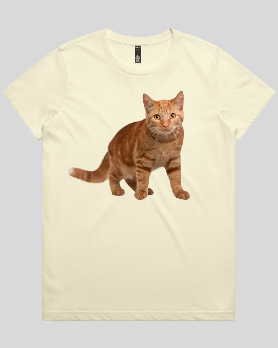 Staring Cat Women's T-Shirt