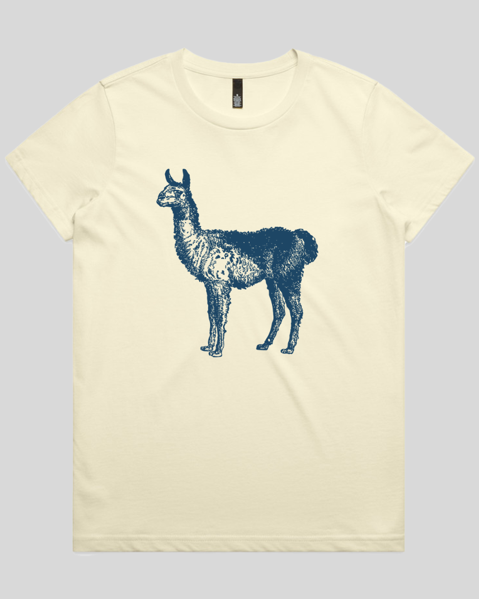Llama Women's T-Shirt