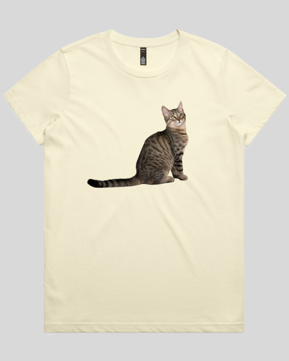 Curious Cat Women's T-Shirt