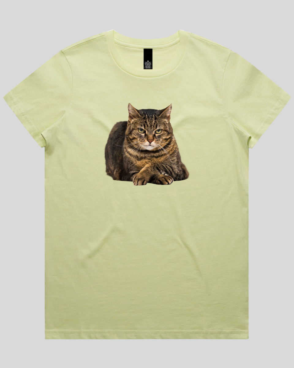 Confident Cat Women's T-Shirt