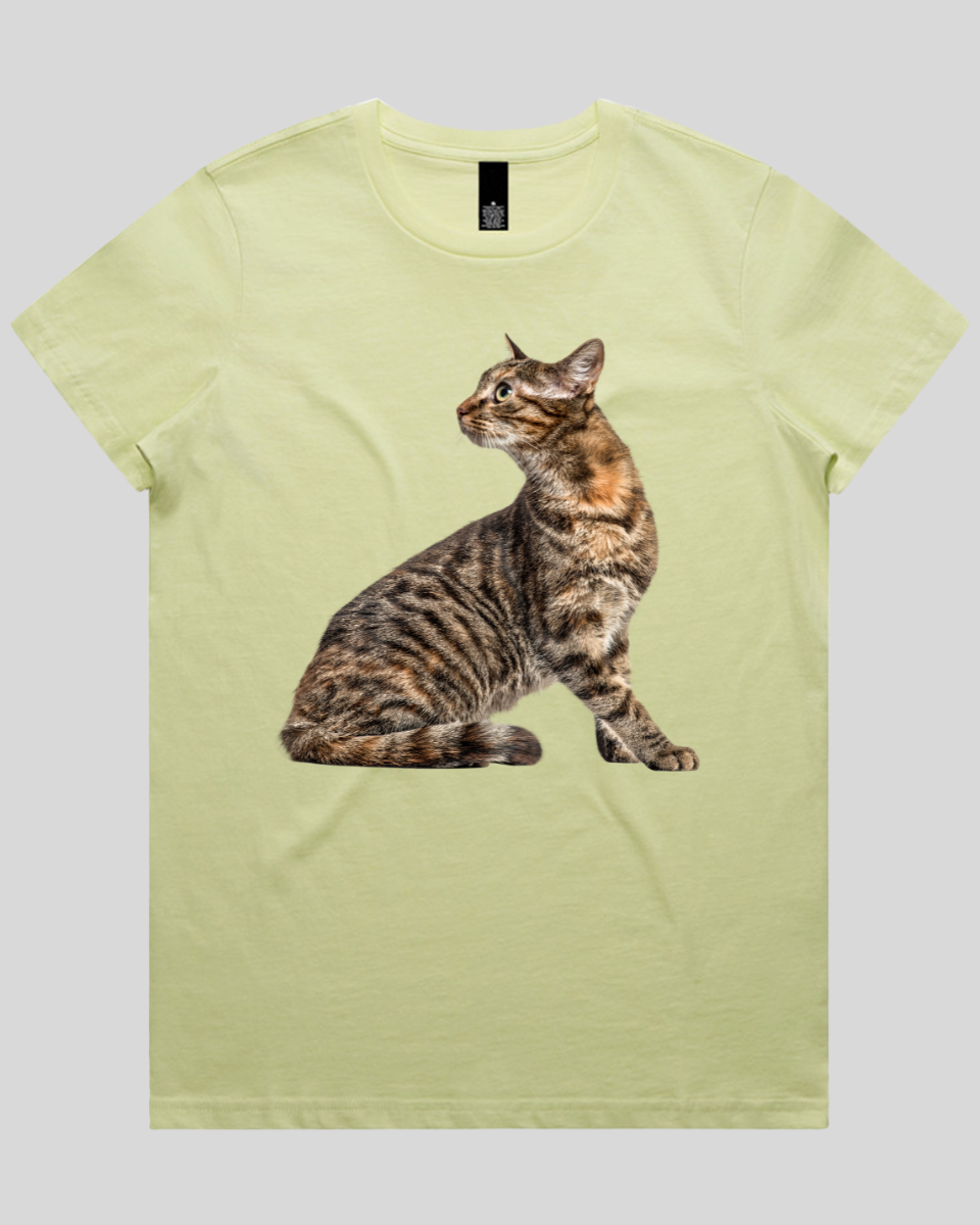 Perched Ready Cat Women's T-Shirt