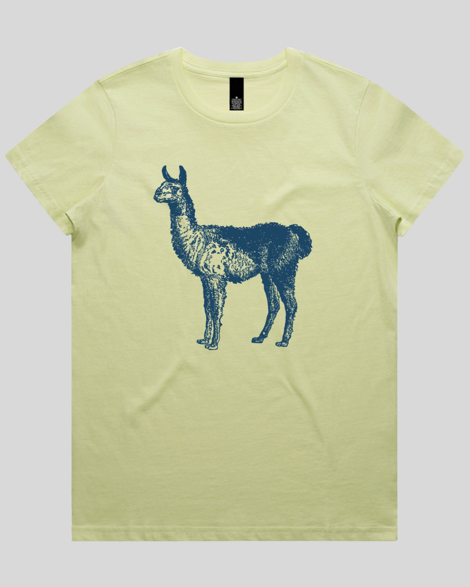 Llama Women's T-Shirt