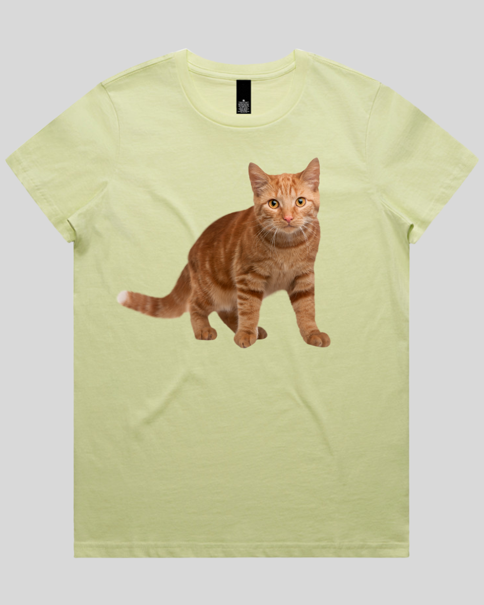 Staring Cat Women's T-Shirt