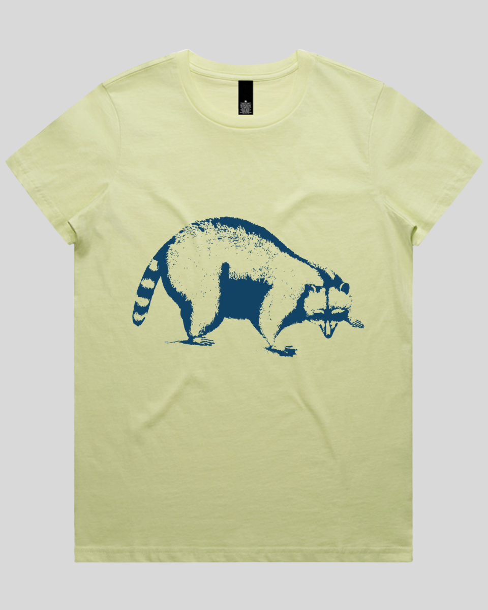 Vintage Raccoon Women's T-Shirt