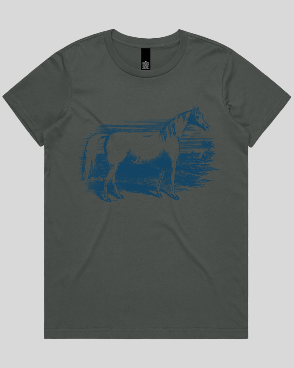 Rustic Horse Field Women's T-Shirt