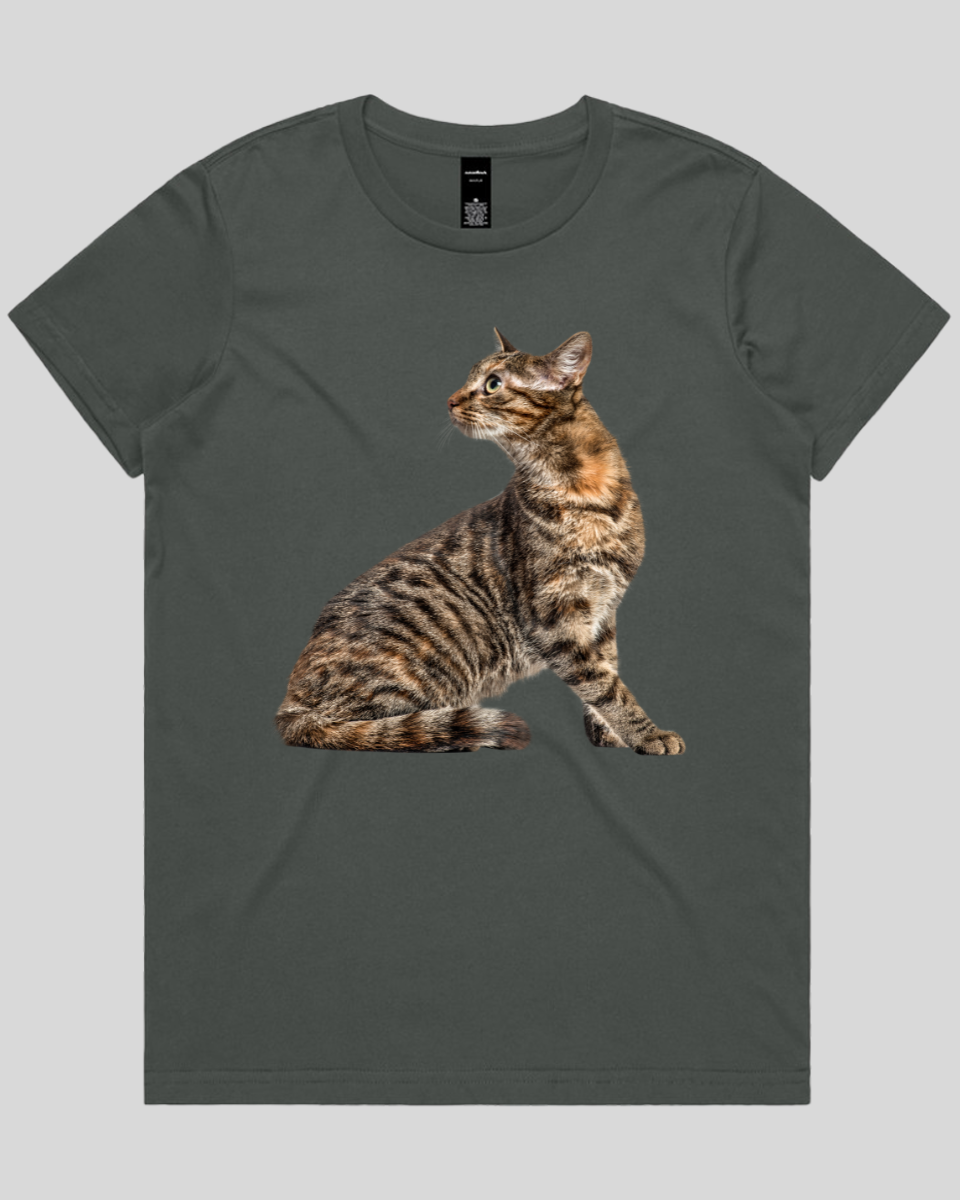 Perched Ready Cat Women's T-Shirt
