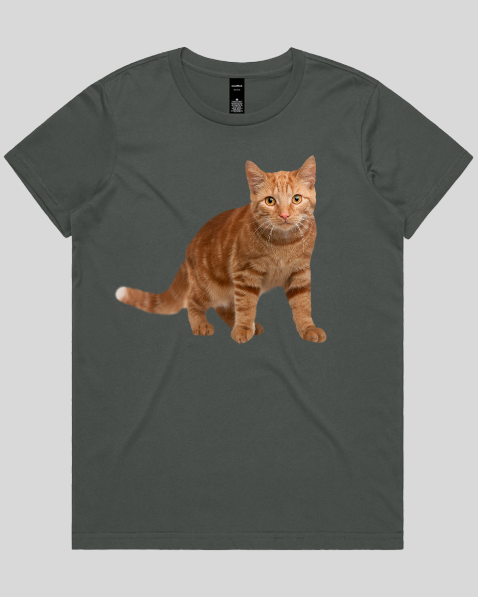 Staring Cat Women's T-Shirt
