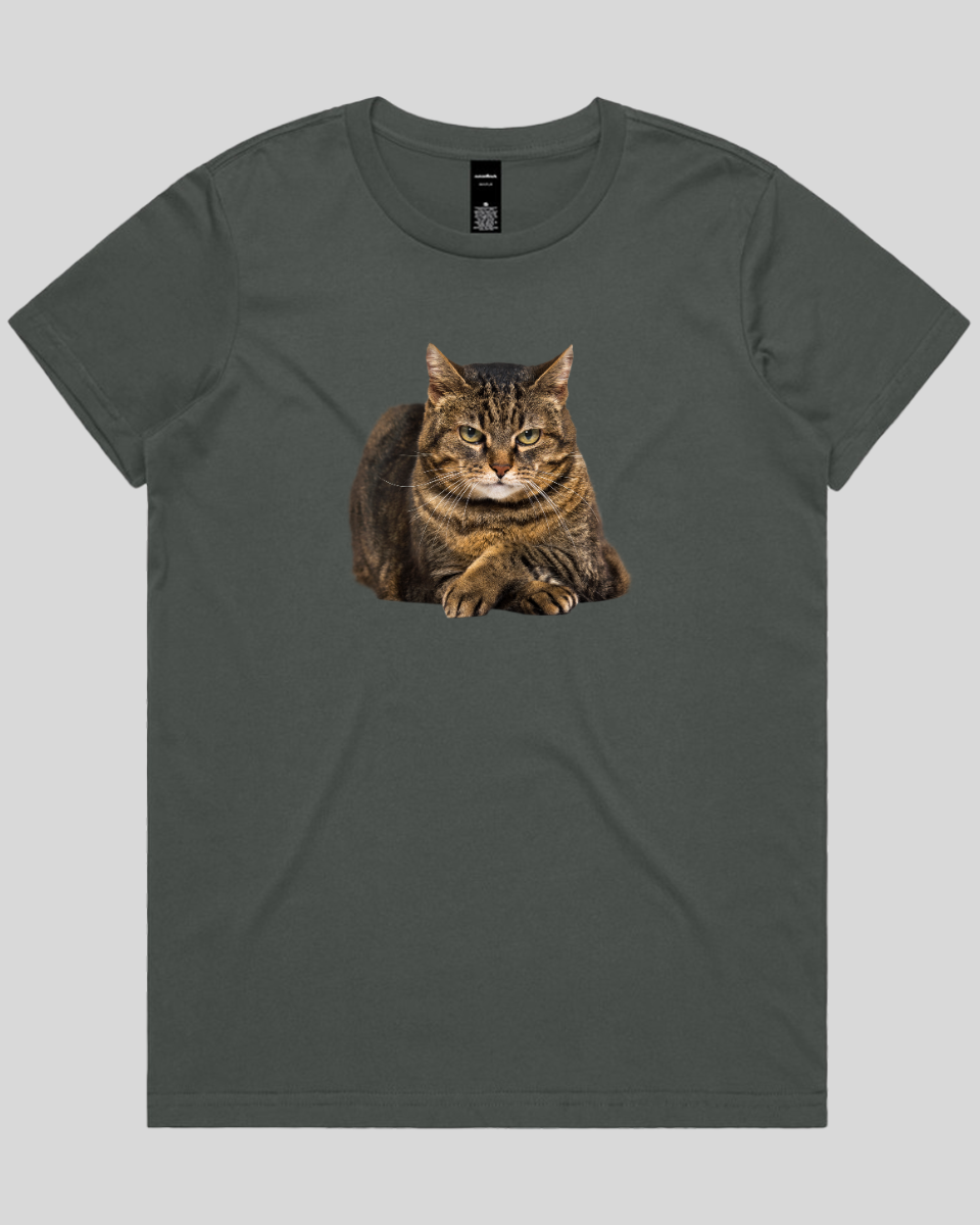 Confident Cat Women's T-Shirt