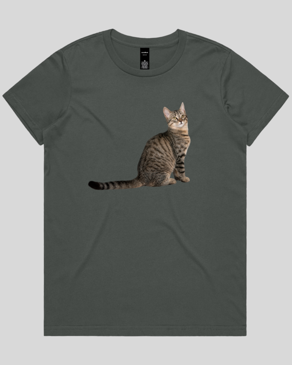Curious Cat Women's T-Shirt