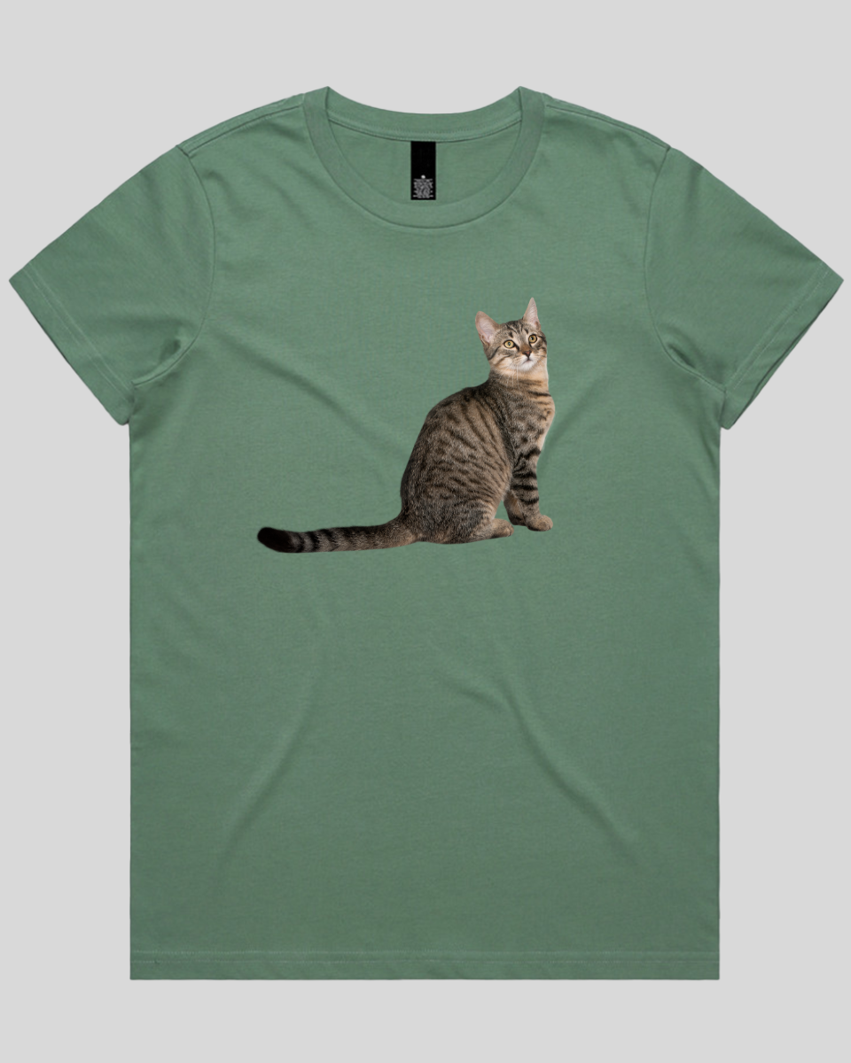 Curious Cat Women's T-Shirt