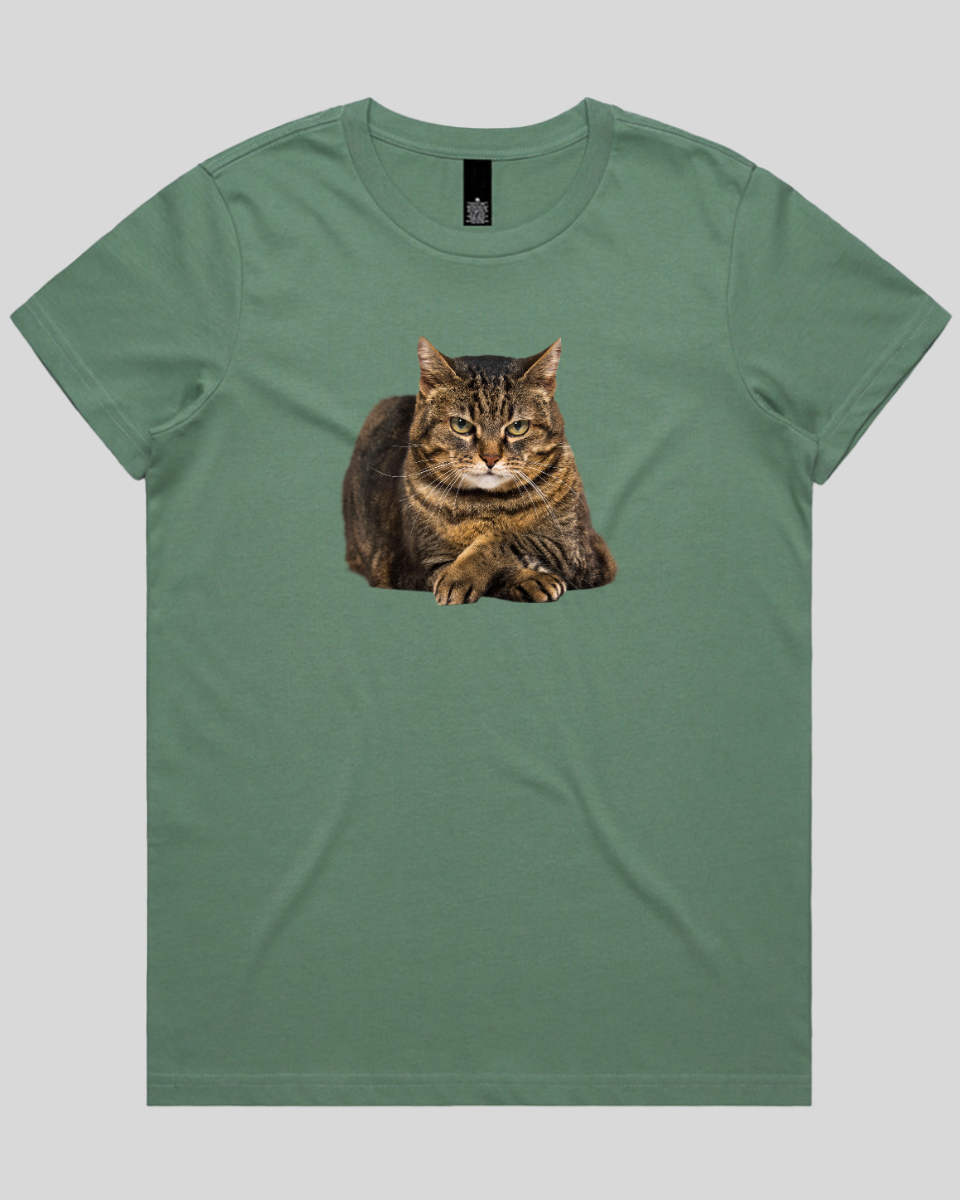 Confident Cat Women's T-Shirt