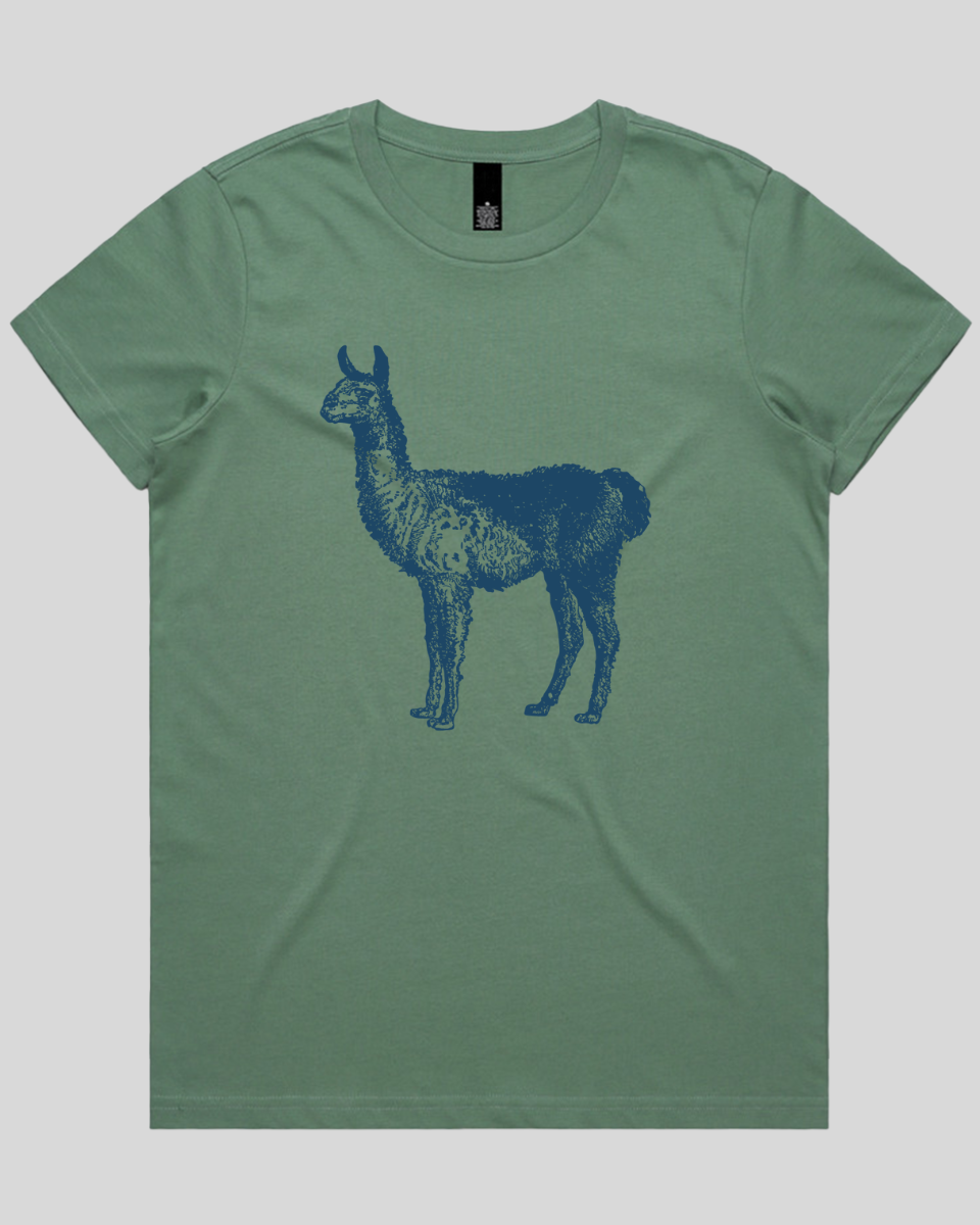 Llama Women's T-Shirt