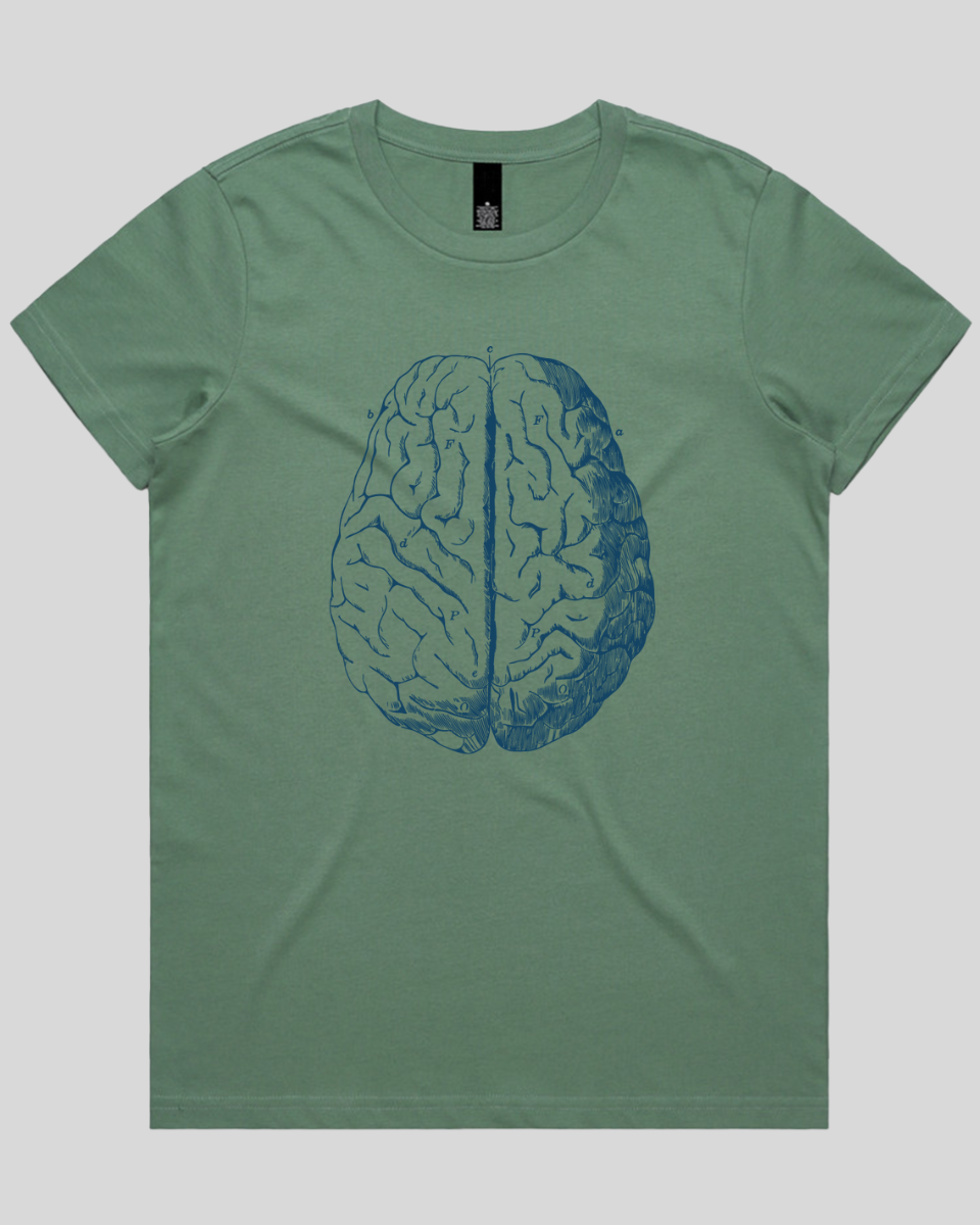 Vintage Brain Diagram Women's T-Shirt