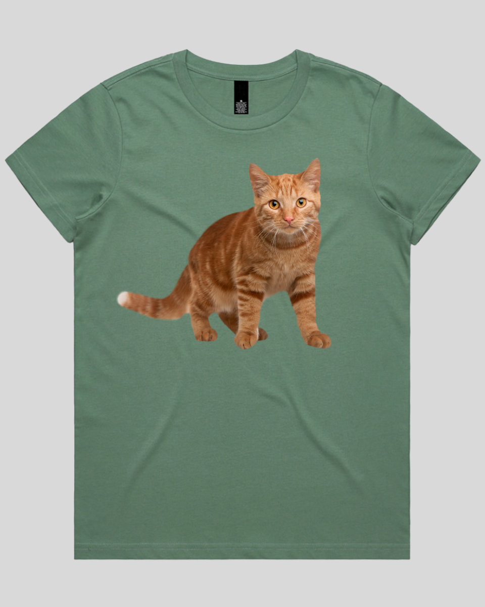 Staring Cat Women's T-Shirt