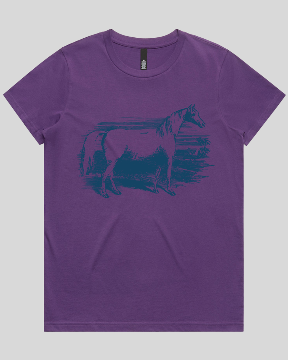 Rustic Horse Field Women's T-Shirt