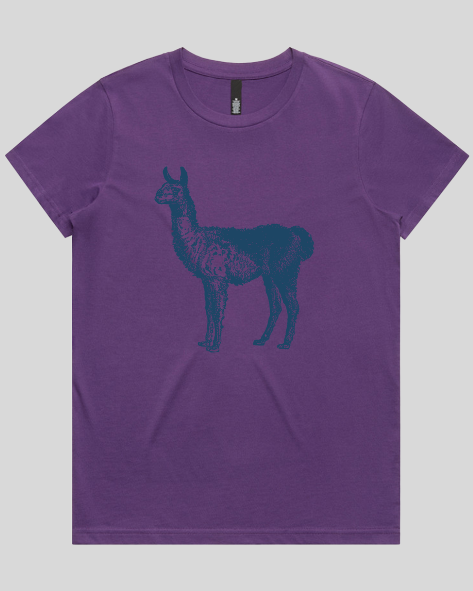 Llama Women's T-Shirt