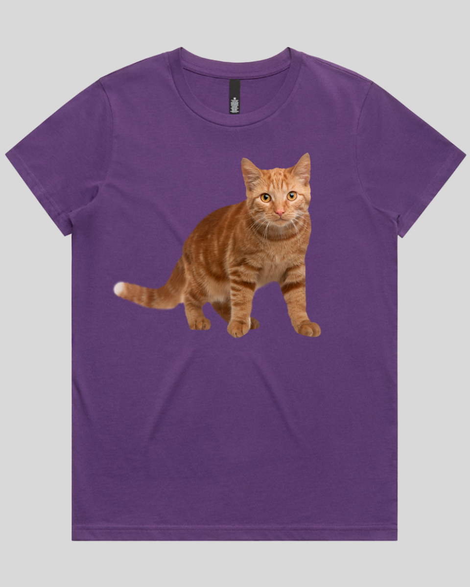 Staring Cat Women's T-Shirt