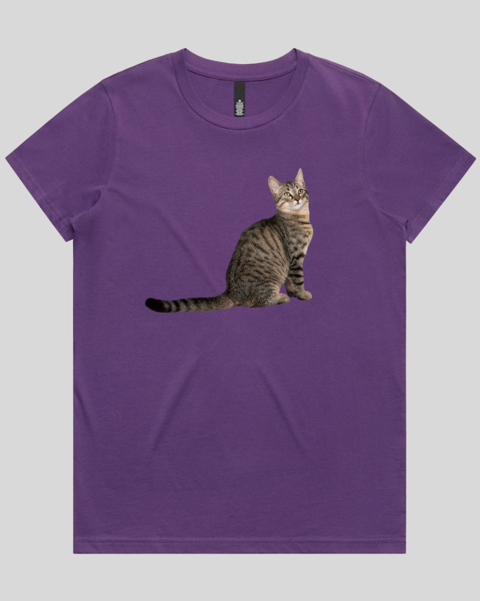 Curious Cat Women's T-Shirt