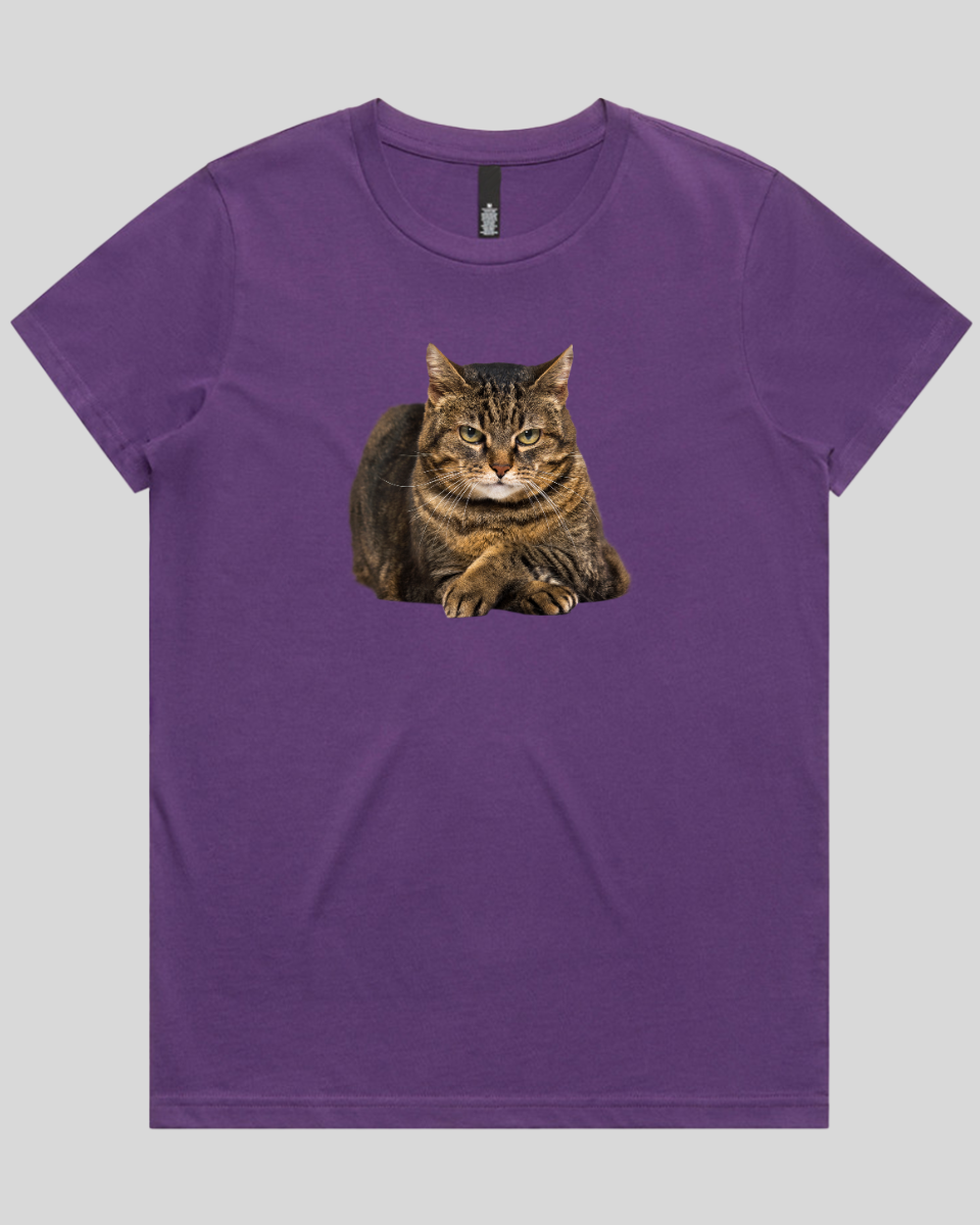 Confident Cat Women's T-Shirt