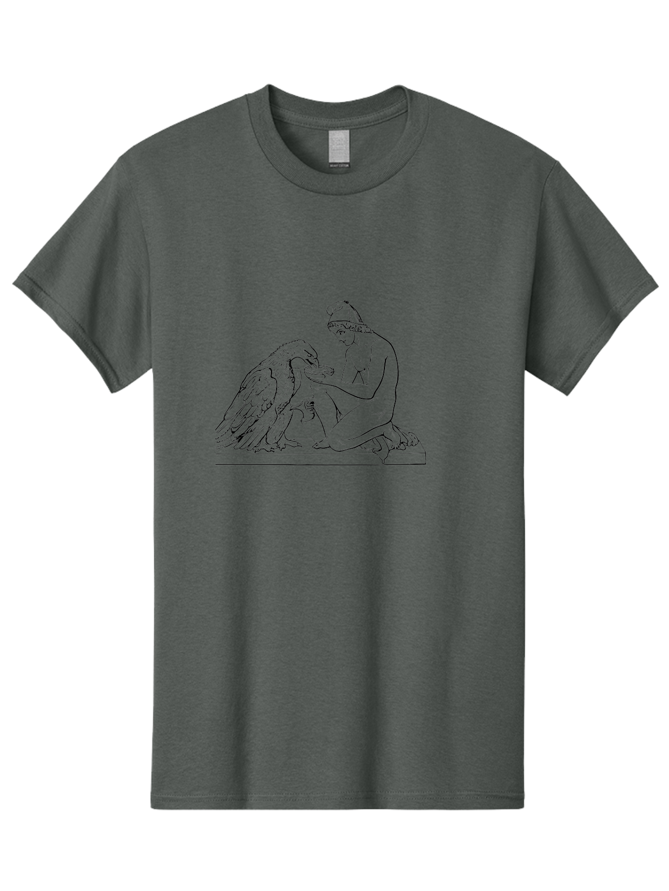 Ganymede-And-Eagle Men'S Graphic Tee, 100% Cotton, Comfortable Casual Summer Wear, Machine Washable, Kneeling Woman, Feeding Eagle, Bond Between Human And Animal, Nurturing Moment, Tender Interaction, Simple Line Art, Minimalist Design, - Aaa534